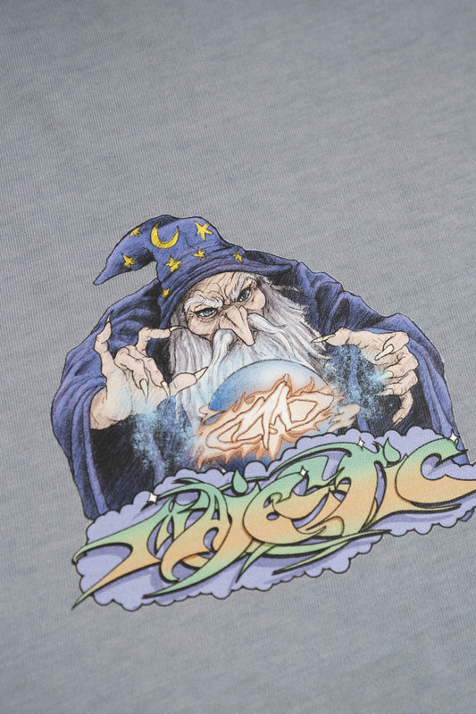 Blue Wizard